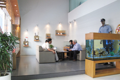 Showroom new